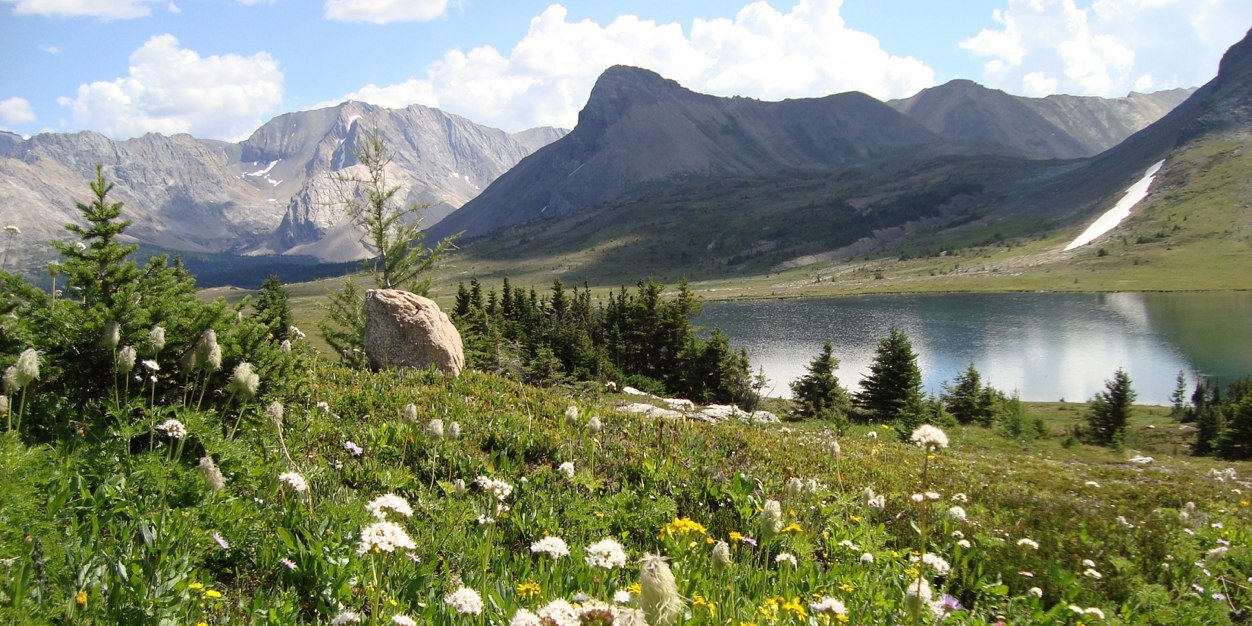 ChefAllemeier banner