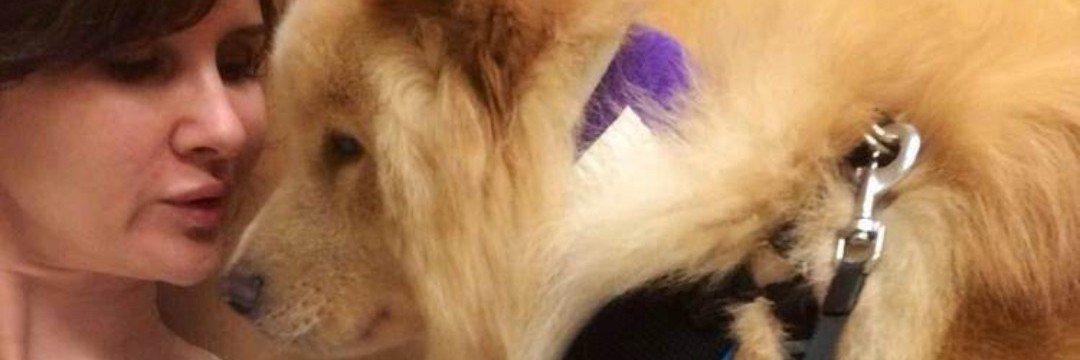 1c1cl3's profile banner image