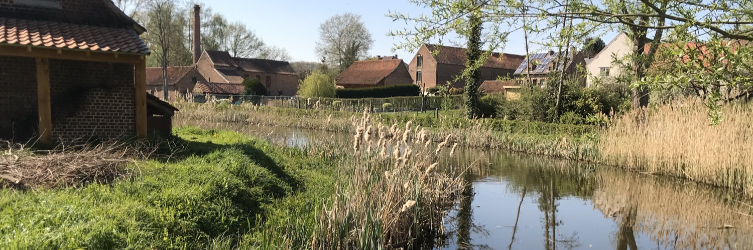 Boris Rorsvort 💯🔥 banner