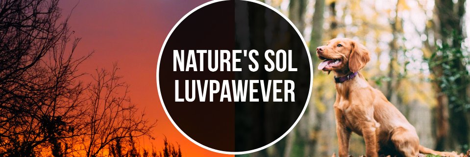 NaturesSol's profile banner image