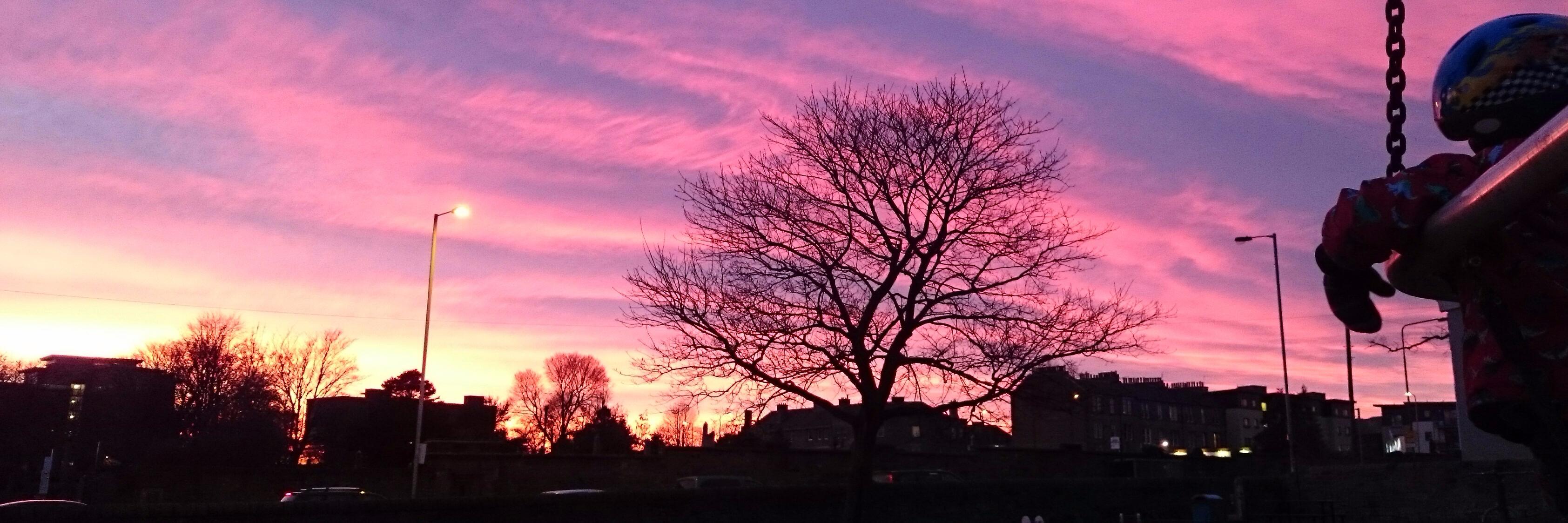 David Pollock banner