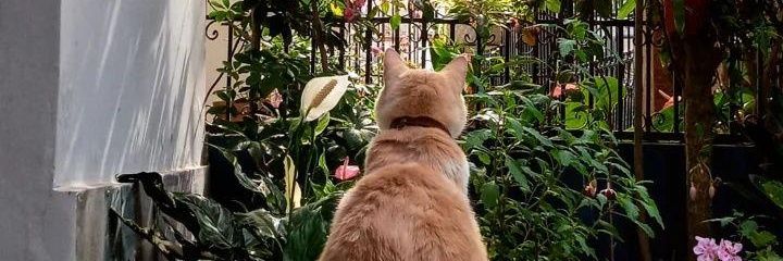 Cam9830's profile banner image
