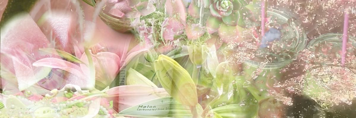 tel 🪽 banner