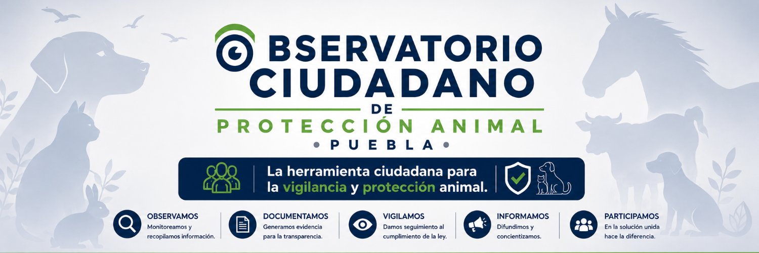 OCPA_Puebla's profile banner image