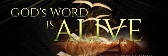Sylvia Webster banner