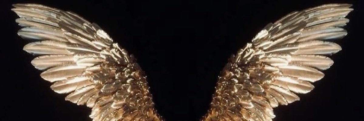 imr1_ii's profile banner image