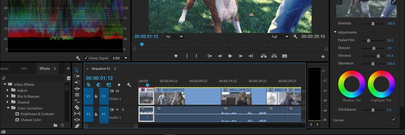 San Diego Premiere Pro User Group banner