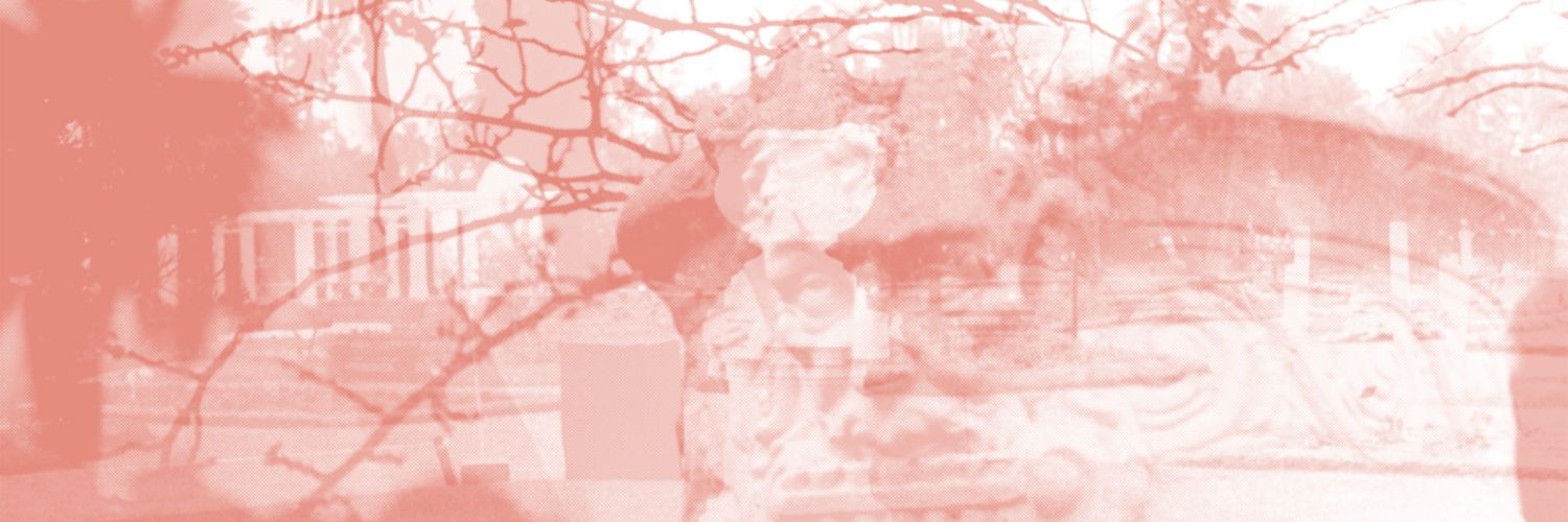 fermediante's profile banner image