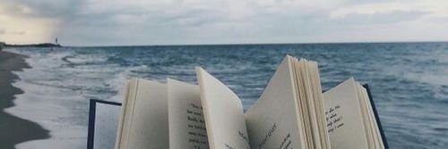 Lau_decaf's profile banner image