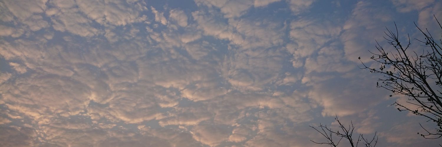 LUNA_S111's profile banner image