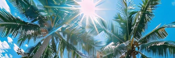 bebibeans's profile banner image