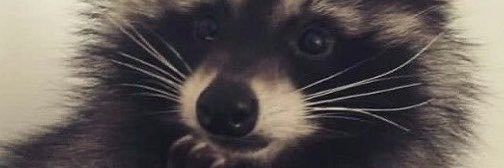 saygex4141's profile banner image
