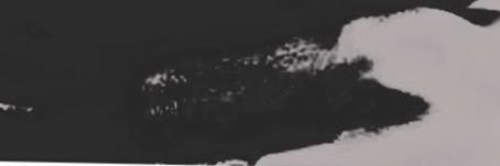 mortefyn's profile banner image