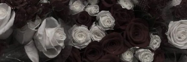 _m_dark's profile banner image
