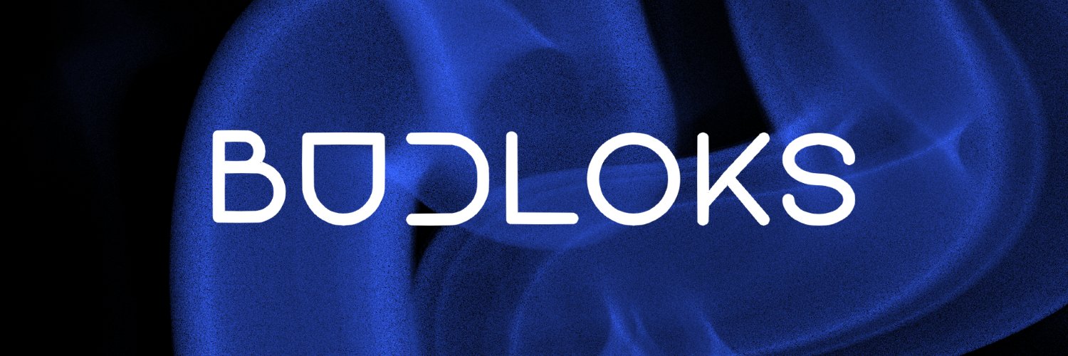Budloksus's profile banner image