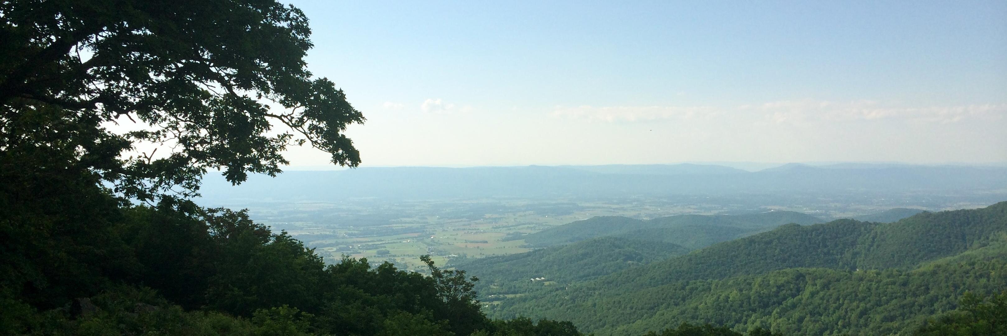 Get A Shot, Moron banner