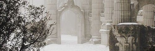 ynynynqqq's profile banner image