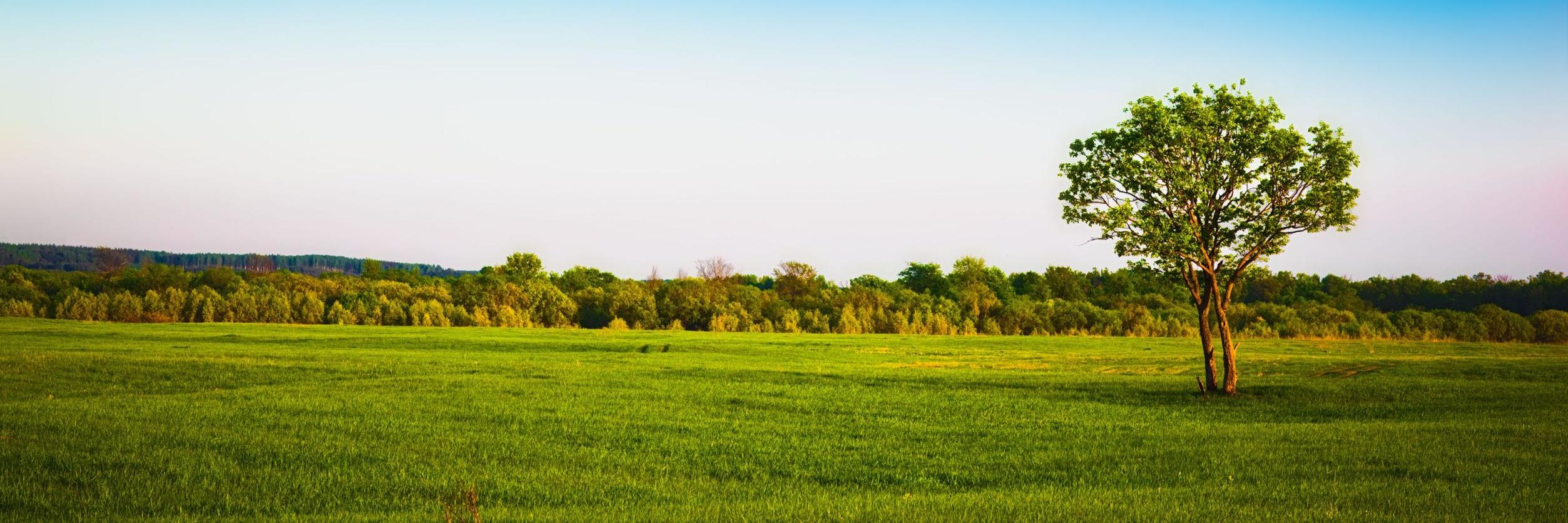 Dave Ballantyne banner