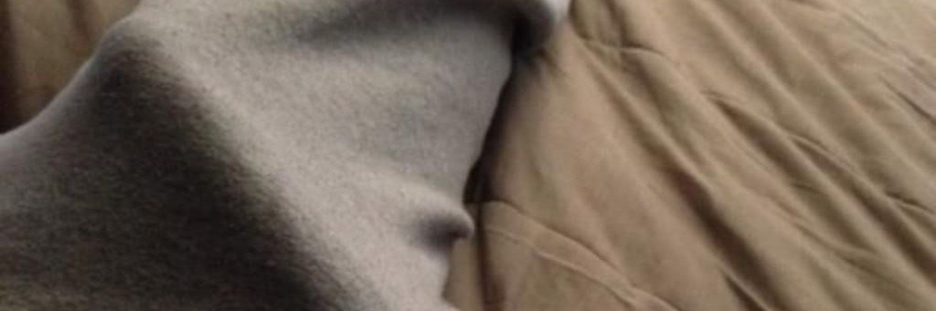 monkeydbonner's profile banner image