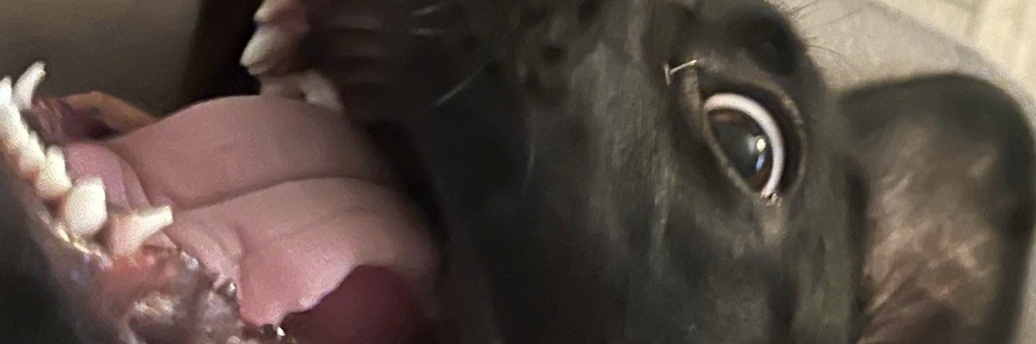 losmiserablos's profile banner image