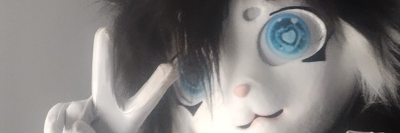 MidNyaightSable's profile banner image