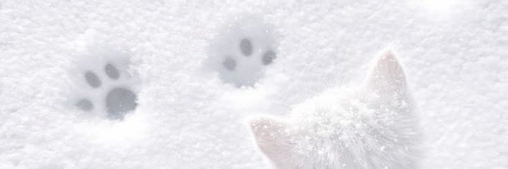 se0rix_'s profile banner image