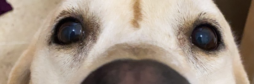CatherineHS's profile banner image