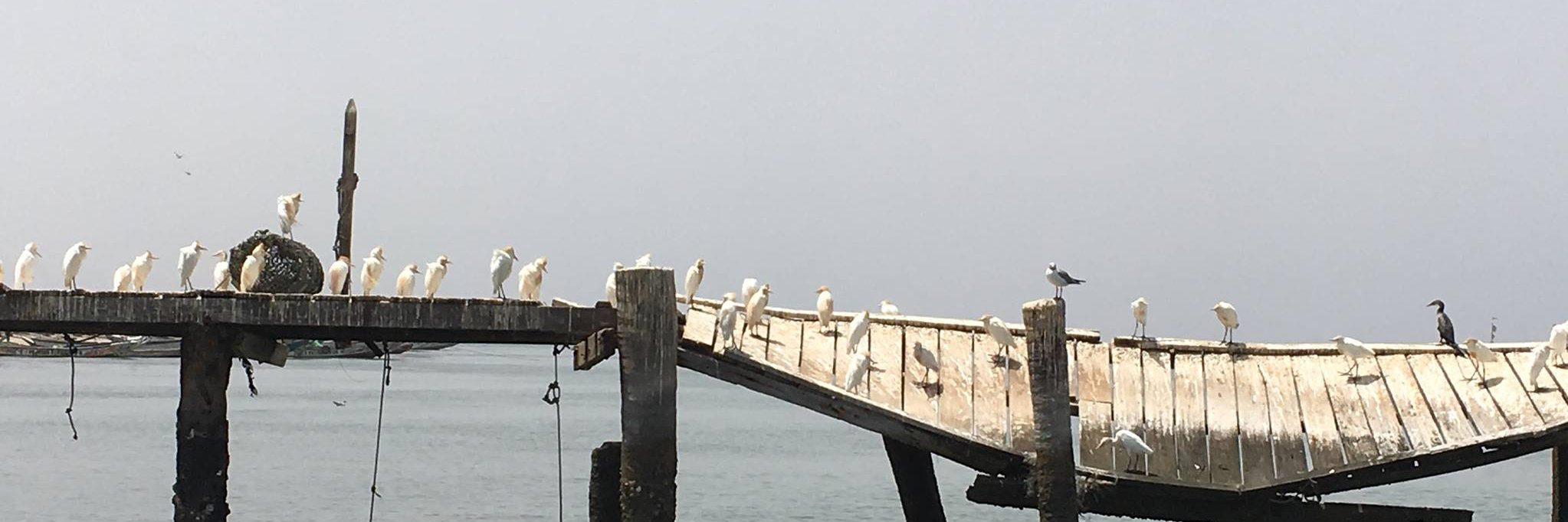 Alexwarner000's profile banner image