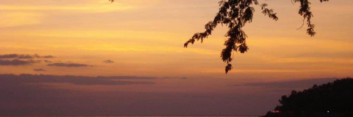 natrisilla's profile banner image