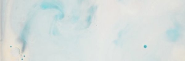 percussionist Profile Banner