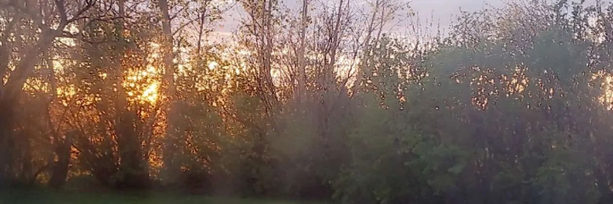 RenaeTru's profile banner image