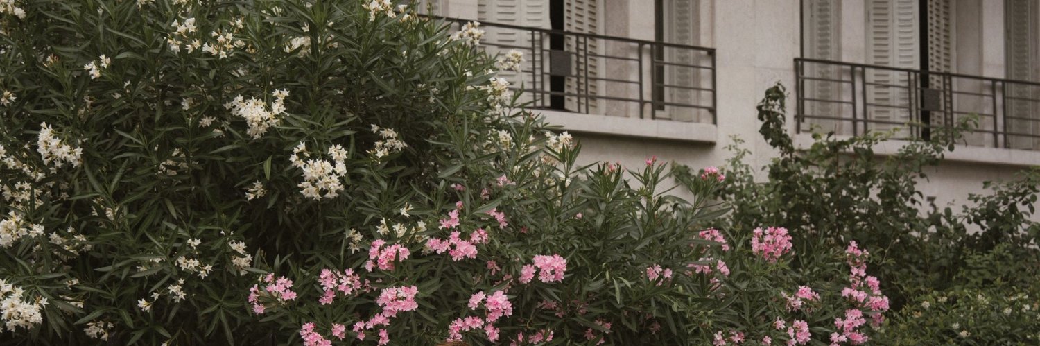 apheresaga's profile banner image