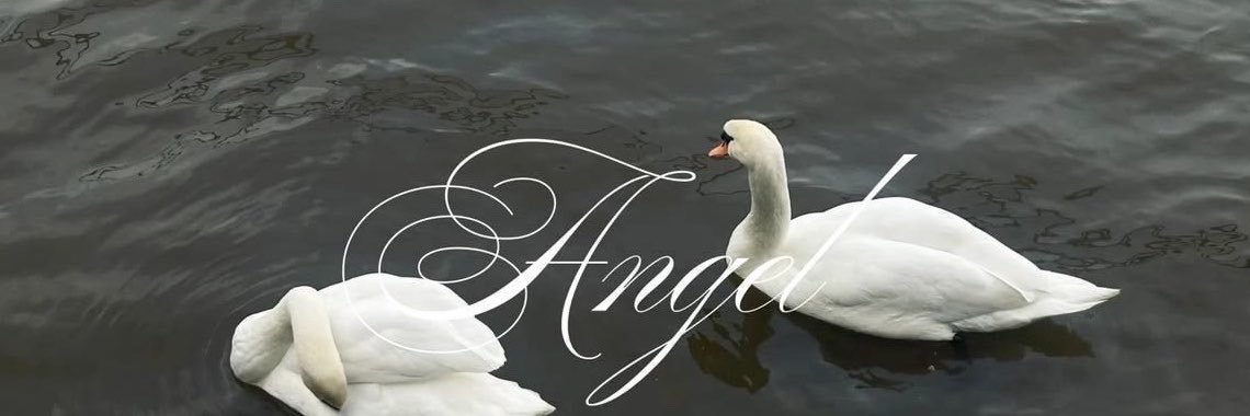 aslongjune's profile banner image