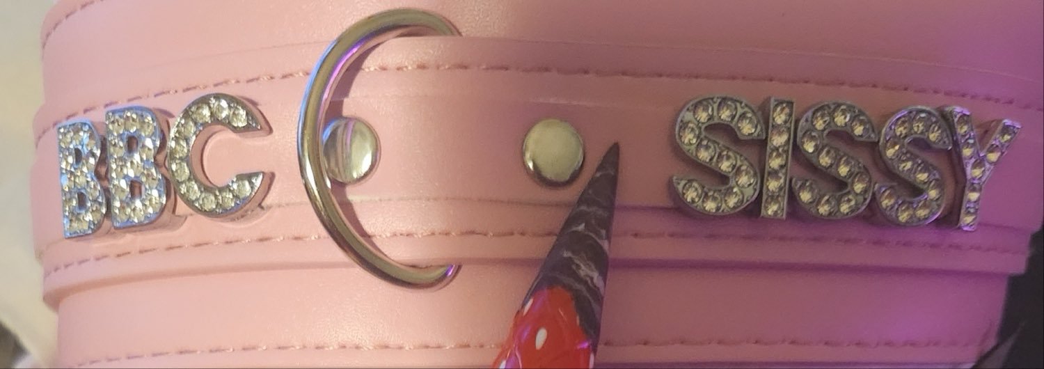 BNWOSissyTara's profile banner image