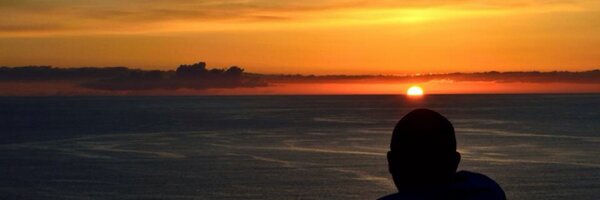 Rogerson_Chris Profile Banner