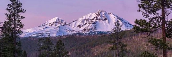 brianarnold Profile Banner