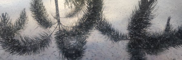 Sagiraj Profile Banner