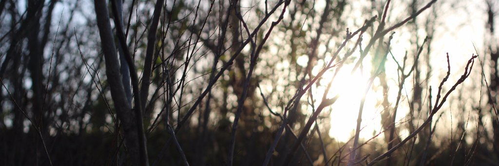 itsmattyj's profile banner image