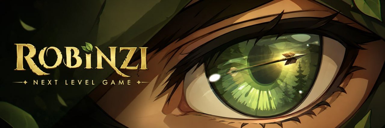 RobinziGame's profile banner image