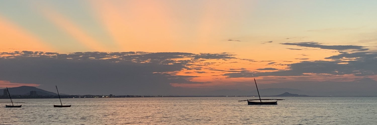 cardocho's profile banner image