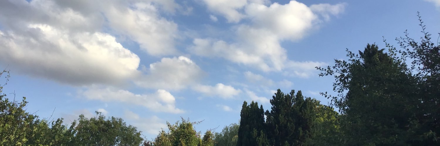 JulesB🇺🇦 banner