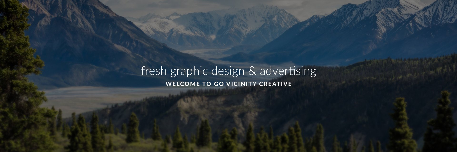 Go Vicinity Creative banner