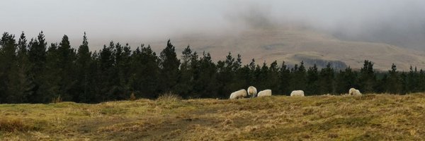 KantheeMD Profile Banner