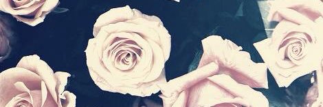 mallorycalhoun's profile banner image