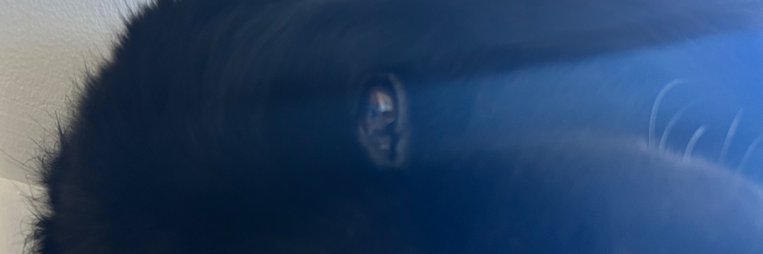 Aktr453's profile banner image