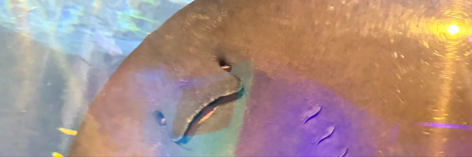 cca_marin's profile banner image