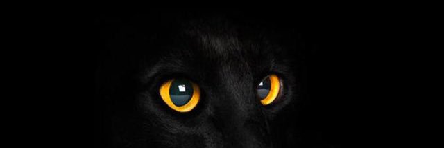 Aarongynous's profile banner image