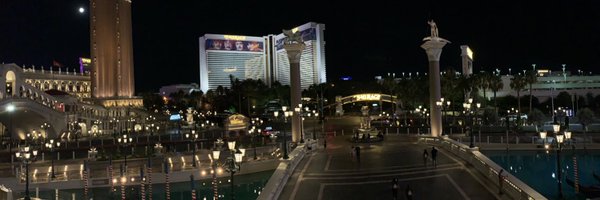 MissSilverFox Profile Banner