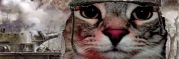 Schimsyy's profile banner image