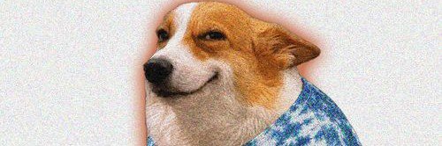 CashOnDogs's profile banner image